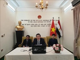 Webinar on President Ho Chi Minh held in Egypt