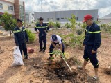 Đảng ủy cơ sở Phòng Cảnh sát PCCC&CNCH: Triển khai công trình “Vườn cây mang tên Bác”