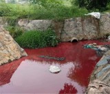 TP. Dĩ An: Nước suối Cây Sao màu đỏ tươi, người dân lo lắng
