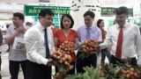 越南清河荔枝和无公害农产品展销会开幕