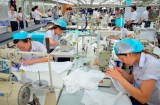日本企业高度评价越南市场的潜力与机遇