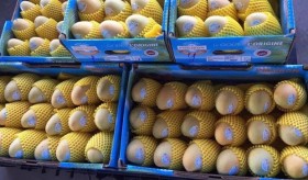 Cambodia to export 500,000 tonnes of mangoes to China annually