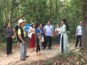 对油汀旅游景点进行考察以打造旅游发展对接链