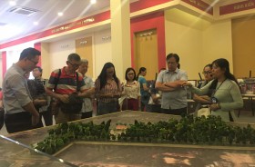 旅游业应推动推广、促进活动