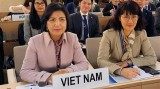越南代表出席日内瓦国际人道主义排雷中心执行委员会会议