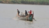 Cambodia: Falling water levels affecting fish population