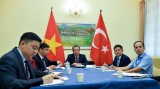越南与土耳其外交部领导就两国新冠肺炎疫情下促进关系的措施展开讨论