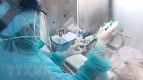 Bộ Y tế thông tin về lấy mẫu xét nghiệm ở chung cư Phạm Viết Chánh