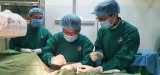 Bệnh viện Đa khoa tỉnh Bình Dương: Đặt thành công máy tạo nhịp tim vĩnh viễn cho bệnh nhân