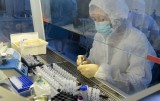 Nga có thể là nước đầu tiên hoàn thành các thử nghiệm vắcxin COVID-19