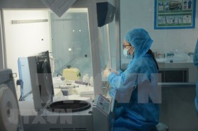 越南新增11例社区传播病例