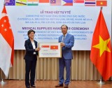 Singapore sees Vietnam valuable friend during COVID-19
