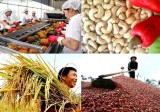 Agricultural trade surplus climbs above US$5 billion mark