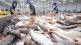 2020年前6月越南查鱼对英国出口增长7.3%