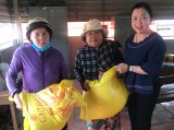 Chị Nguyễn Thị Minh Thu: Góp sức đẩy lùi dịch bệnh Covid-19