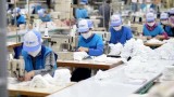 越南纺织企业承诺提供充足的抗菌布口罩
