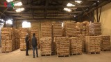 Wood exports witness rebound over seven months