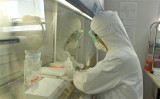 Viện Pasteur Nha Trang tiếp tục xét nghiệm các mẫu bệnh phẩm COVID-19