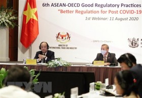 Webinar seeks better regulation for economic growth amid COVID-19