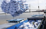 Giá gạo xuất khẩu của Việt Nam vươn lên dẫn đầu thế giới