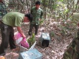 Vietnam hailed for strides in protecting people, biodiversity