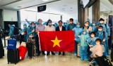 近350名在美越南公民安全回国