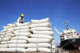 Xuất khẩu gạo sang châu Phi dự kiến tiếp tục tăng