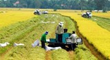 越南经济75周年发展历程：农业是支撑国民经济发展的基础产业