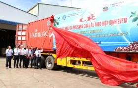 Hiệp định EVFTA: Gia Lai xuất khẩu lô càphê đầu tiên sang châu Âu