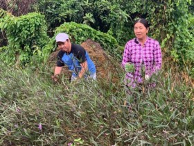 Xây đời, xây quê hương tươi đẹp