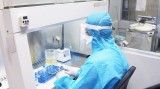 新冠肺炎疫情：越南连续24天无新增社区传播病例