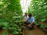 Văn phòng điều phối Nông thôn mới Trung ương: Khảo sát thực tế xây dựng Nông thôn mới ở huyện Phú Giáo