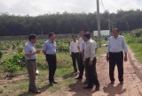 Văn phòng Điều phối nông thôn mới Trung ương: Khảo sát công tác xây dựng nông thôn mới tại huyện Bàu Bàng
