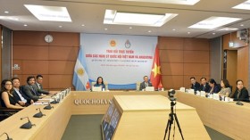 越南国会代表与阿根廷议会议员就妇女权益举行在线座谈会