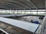 Nhà máy xử lý nước thải Thuận An: Vì mục tiêu bảo vệ môi trường