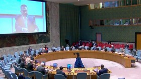 越南和印度尼西亚呼吁国际社会协助非洲大湖地区