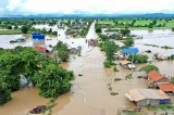 Floods wreak havoc in Cambodia