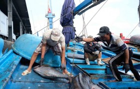 ASEAN Today: Vietnam lauded for efforts to combat illegal fishing