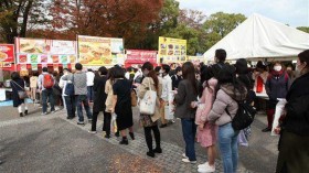 日本越南文化节拉开帷幕