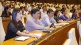 越南第十四届国会第十次会议新闻公报（第十六号）