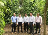 Hội nông dân tỉnh: Kiểm tra hoạt động công tác hội và phong trào nông dân tại huyện Phú Giáo