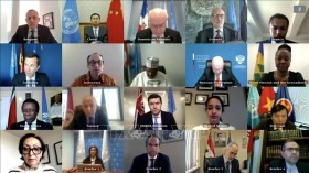 Vietnam backs Syrian Constitutional Committee’s peace negotiations: diplomat