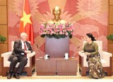 Vietnam-Russia parliamentary ties enjoy positive progress: top legislator