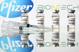 Mỹ: Ủy ban cố vấn FDA ủng hộ sử dụng vắcxin của Pfizer-BioNTech