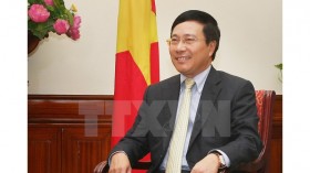 2020年越南外交：新本领和新姿态