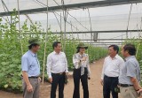 Binh Duong reaches stable agricultural-rural development