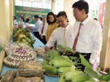 Sở Nông nghiệp và Phát triển nông thôn nhận Huân chương Lao động hạng Nhất