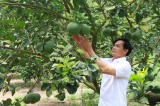 Hội Nông dân tỉnh: Đổi mới, nâng cao chất lượng phong trào nông dân