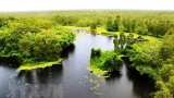 越南努力保护并可持续利用湿地资源