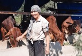Xã Đất Cuốc, huyện Bắc Tân Uyên: Nhiều nỗ lực trong công tác giảm nghèo